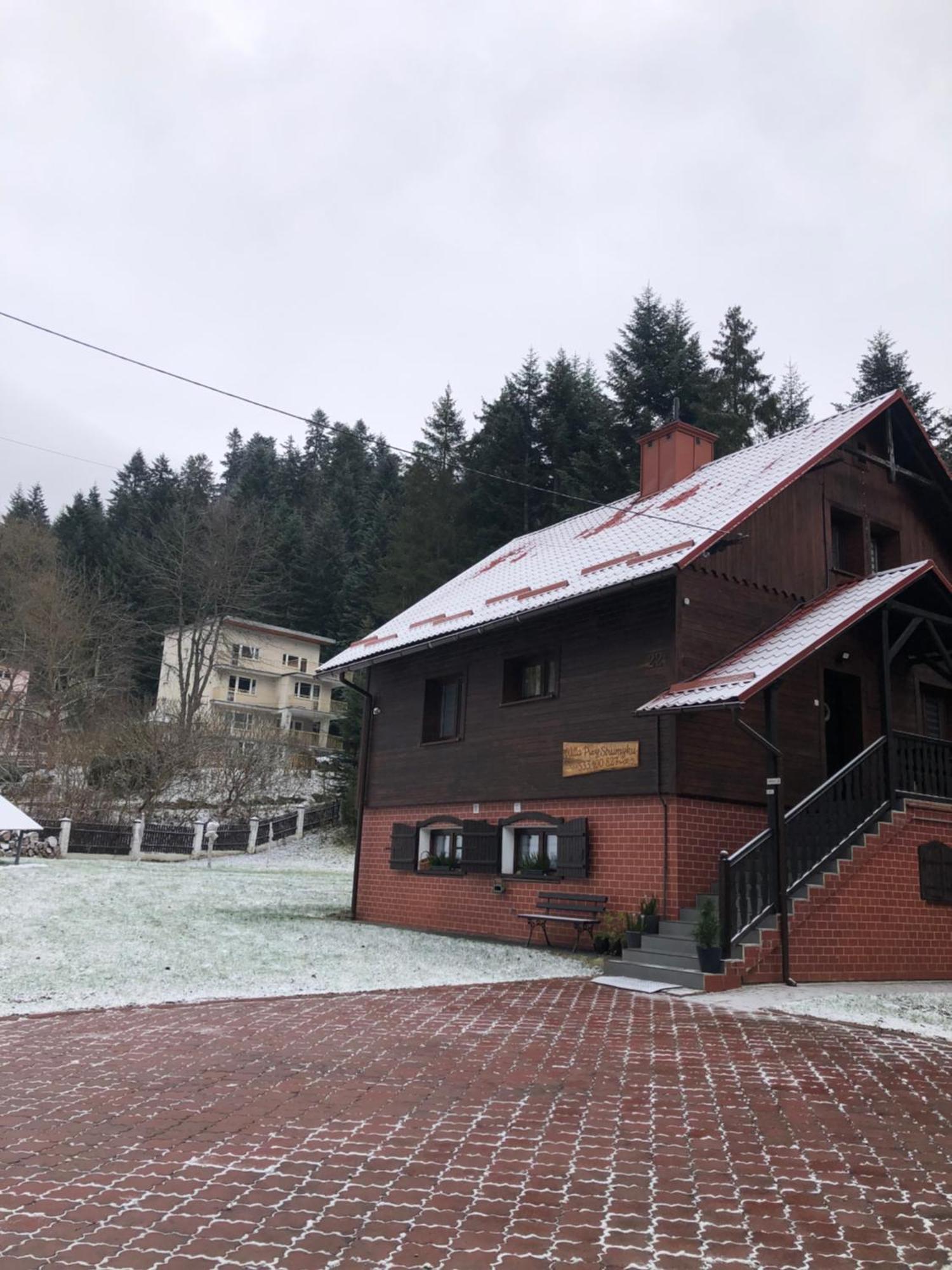 Willa Przy Strumyku Krynica-Zdrój Exterior foto